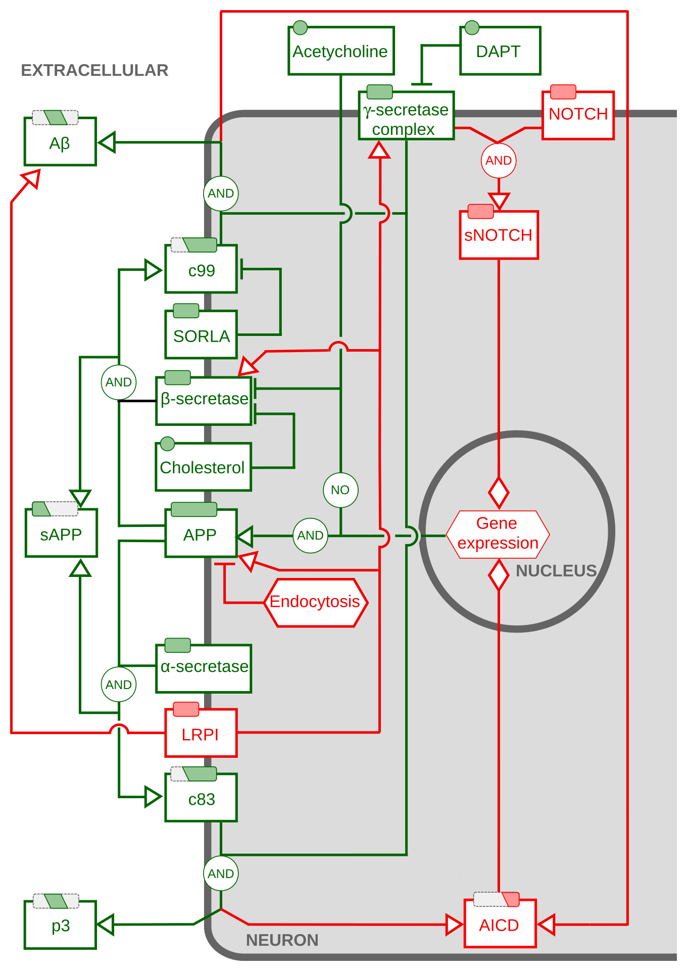 AF map of APP processing