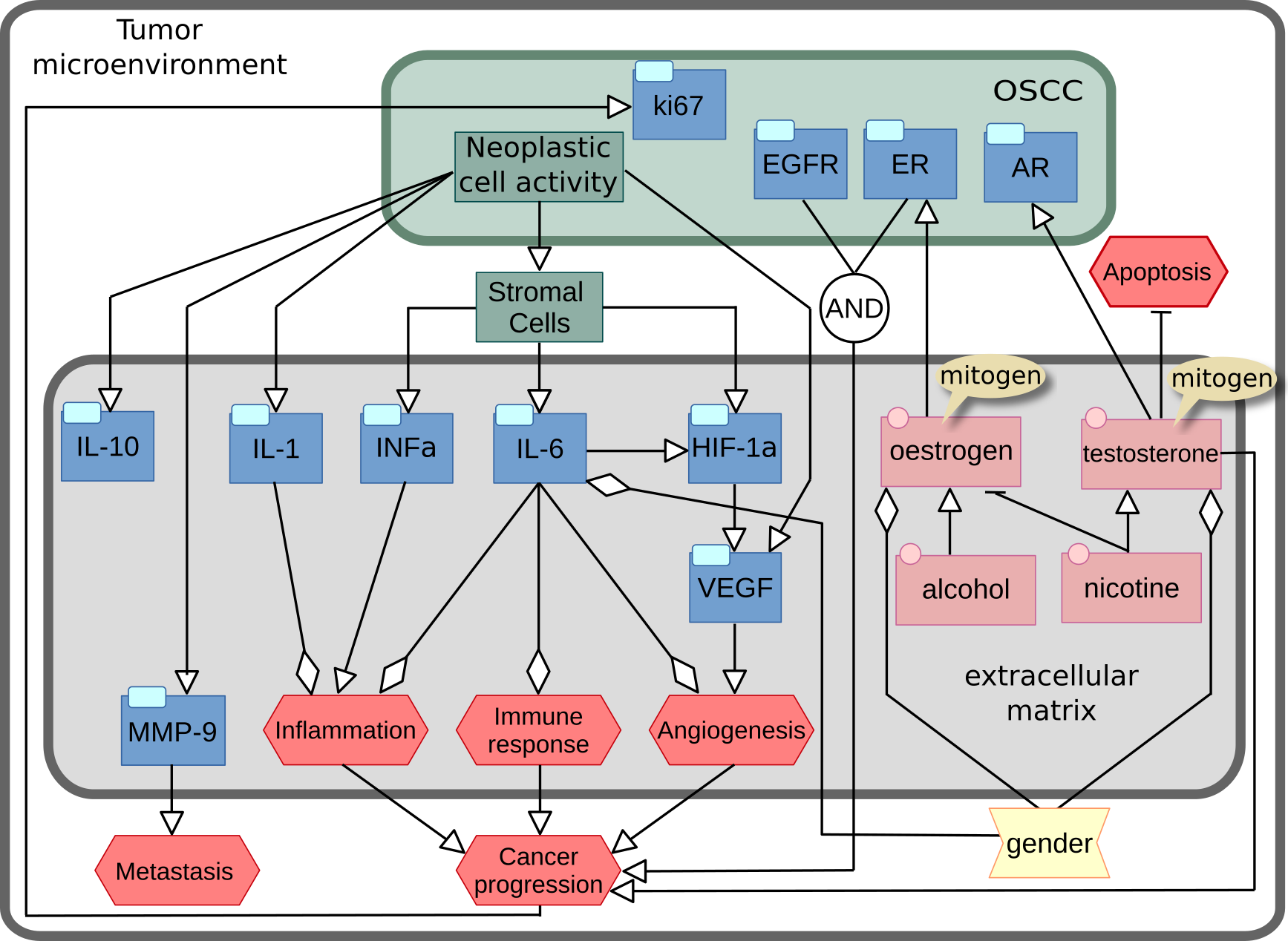 AF map of OSCC microenvironment regulation AF map of OSCC microenvironment regulation