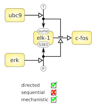 SBGN entity relationship