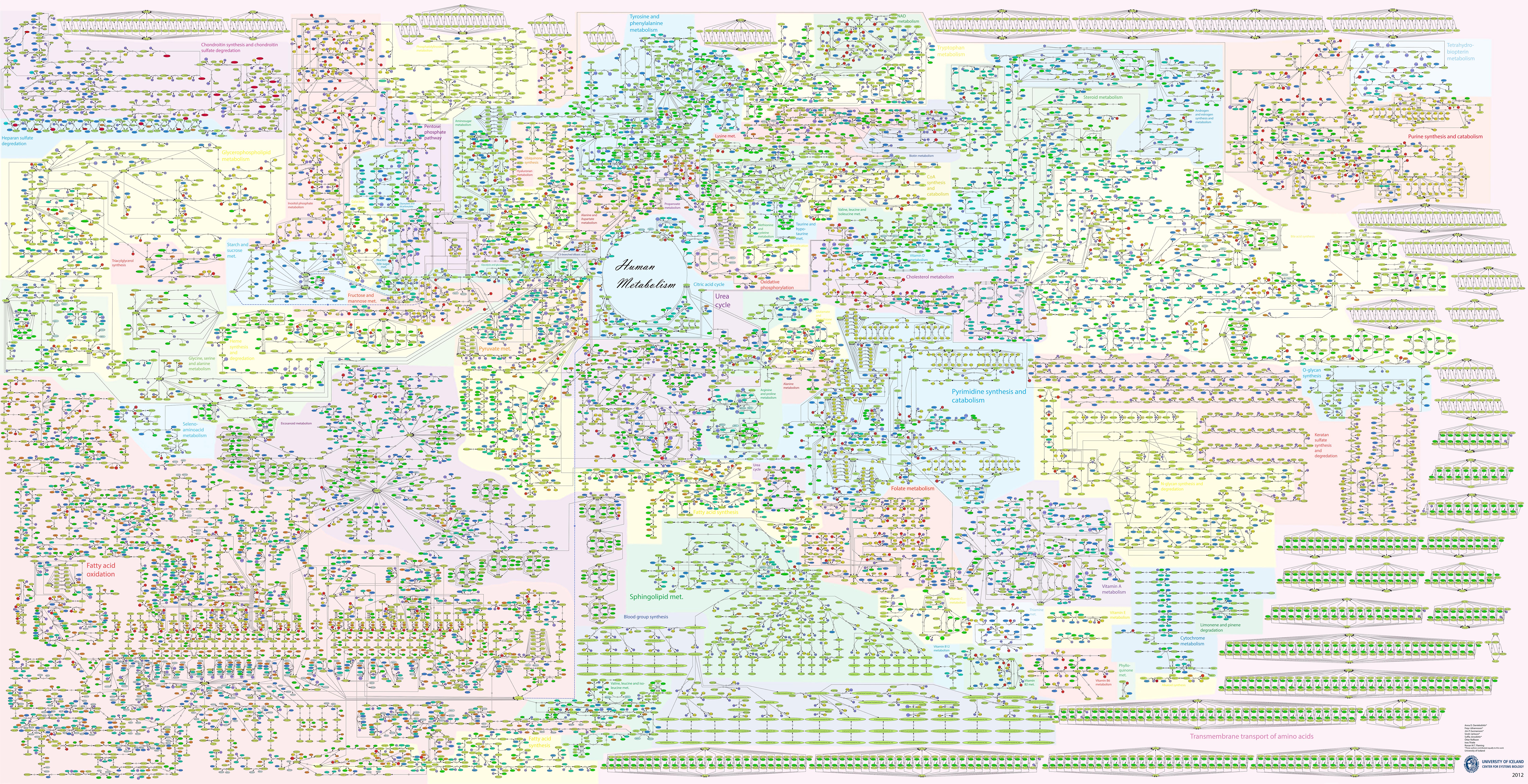 PD map of human metabolism PD map of human metabolism