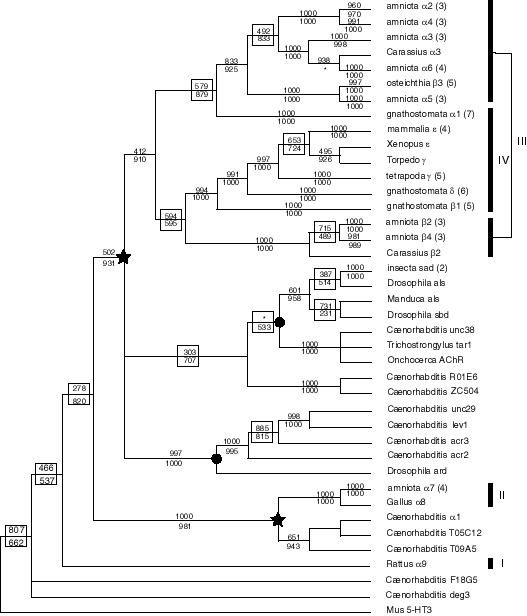 totaltree